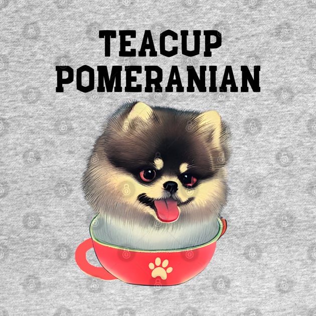 Adorable and Cute Teacup Pomeranian Puppy Fluffy Pomeranian Dog Owner by Mochabonk